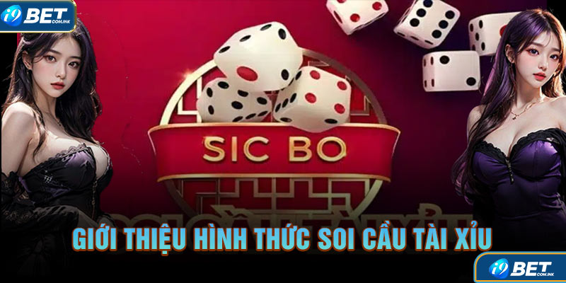 Giới thiệu hình thức soi cầu tài xỉu